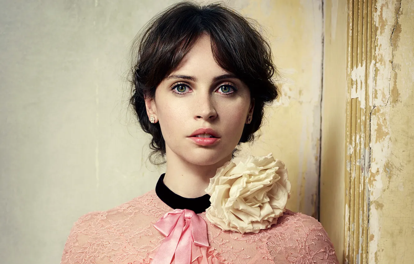 Photo wallpaper portrait, makeup, dress, actress, brunette, hairstyle, Felicity Jones, Felicity Jones