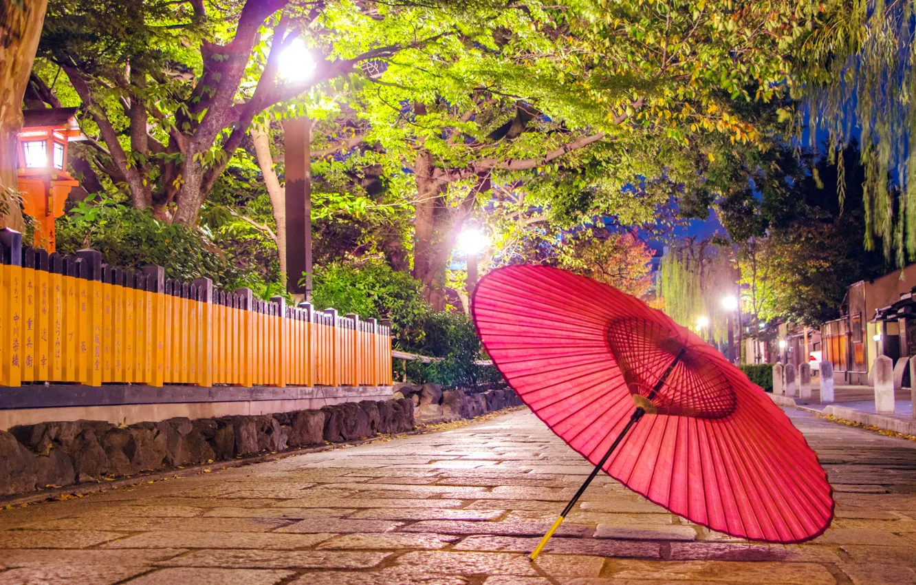 Photo wallpaper nature, lights, Park, umbrella, alley