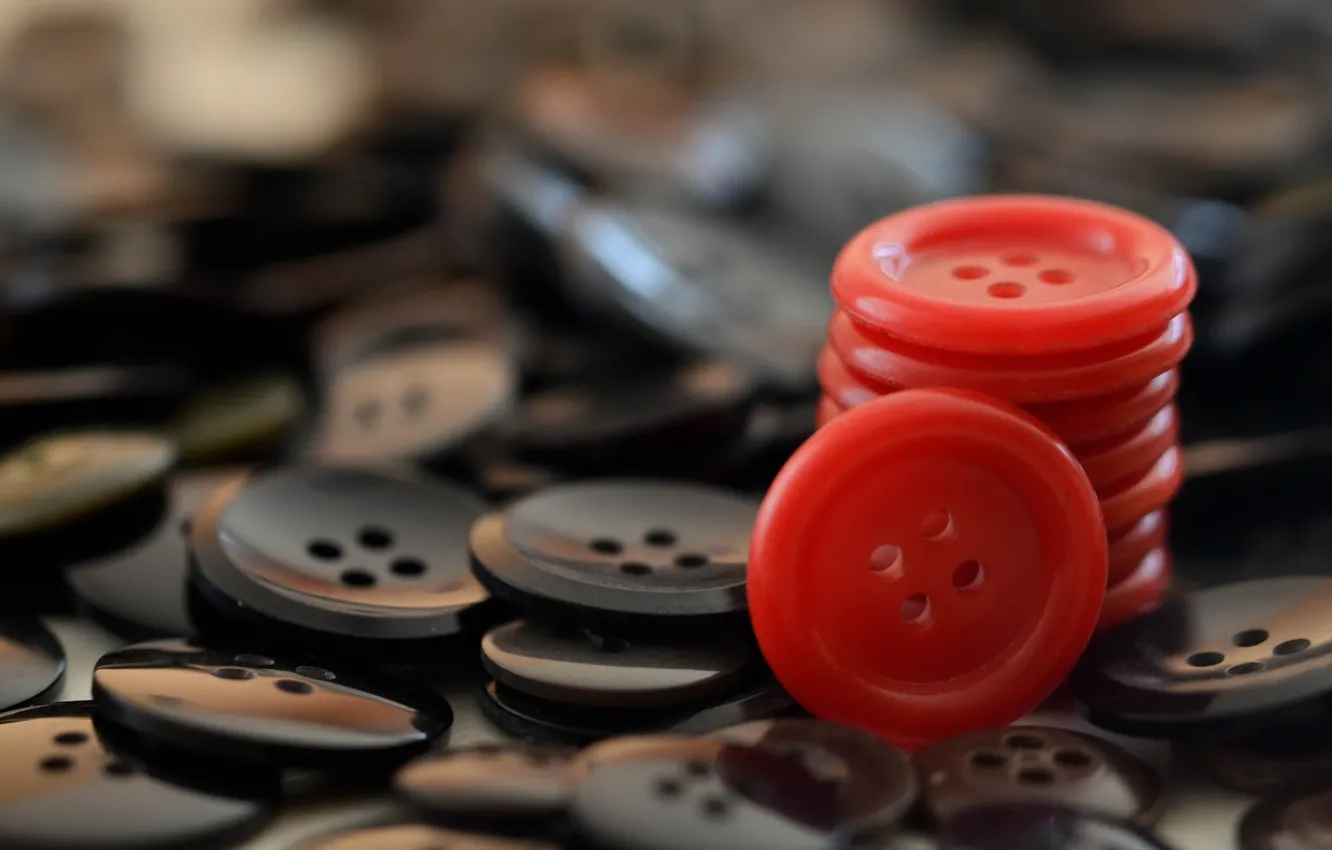 Photo wallpaper macro, color, buttons