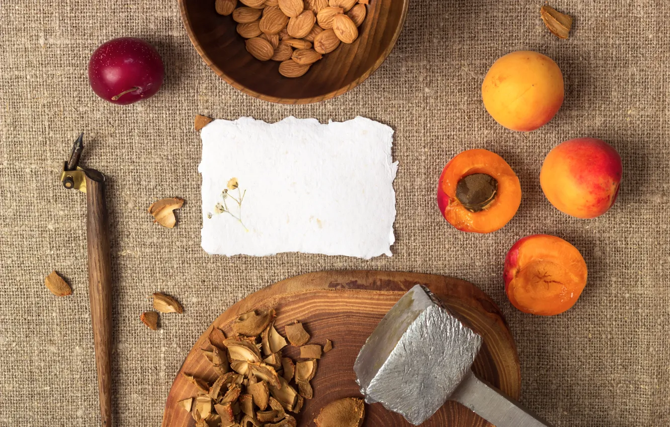 Photo wallpaper hammer, nuts, apricots, drain