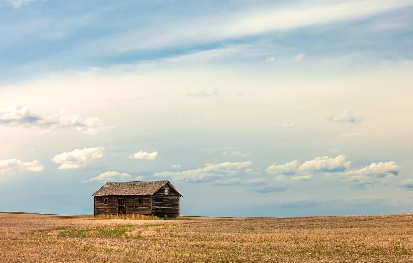 Photo wallpaper field, the sky, landscape, home