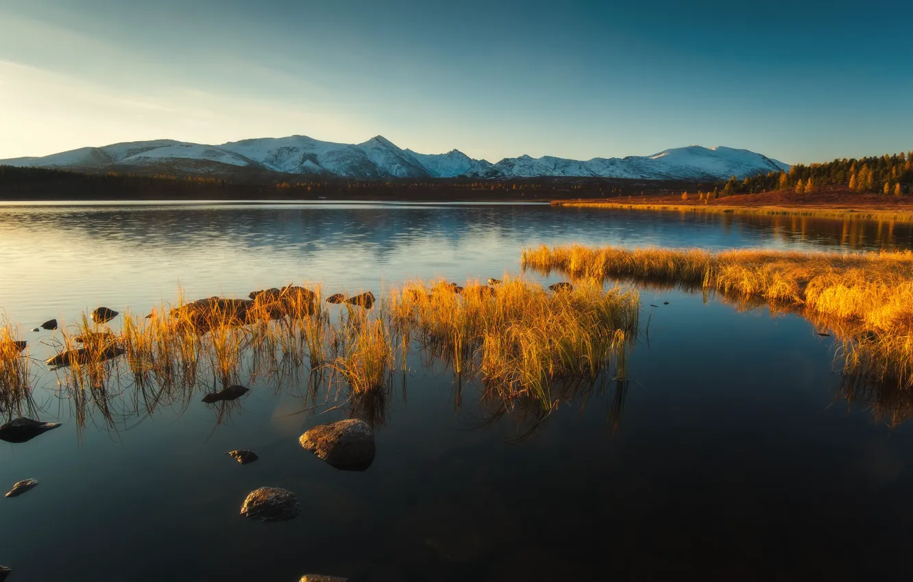 Photo wallpaper forest, the sky, grass, water, trees, mountains, shore, Altay