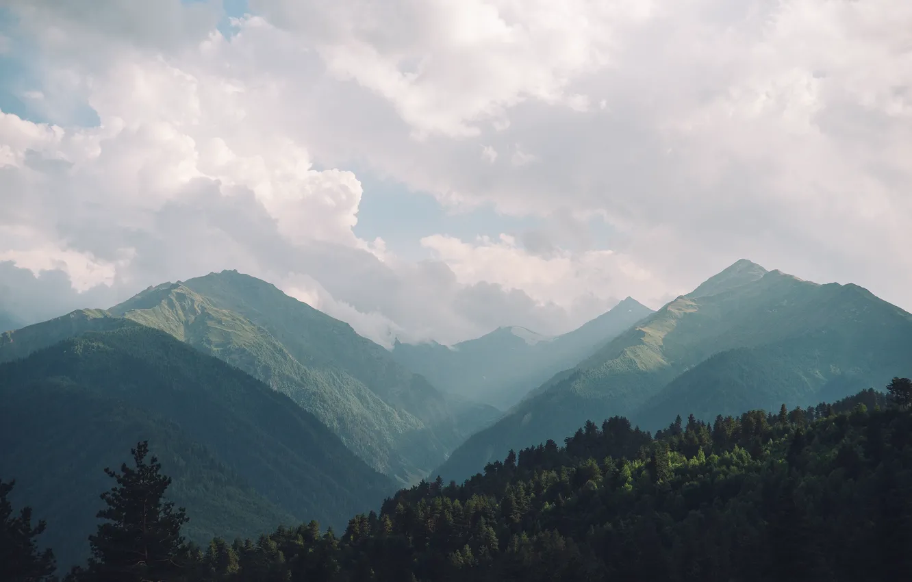 Photo wallpaper forest, clouds, trees, mountains