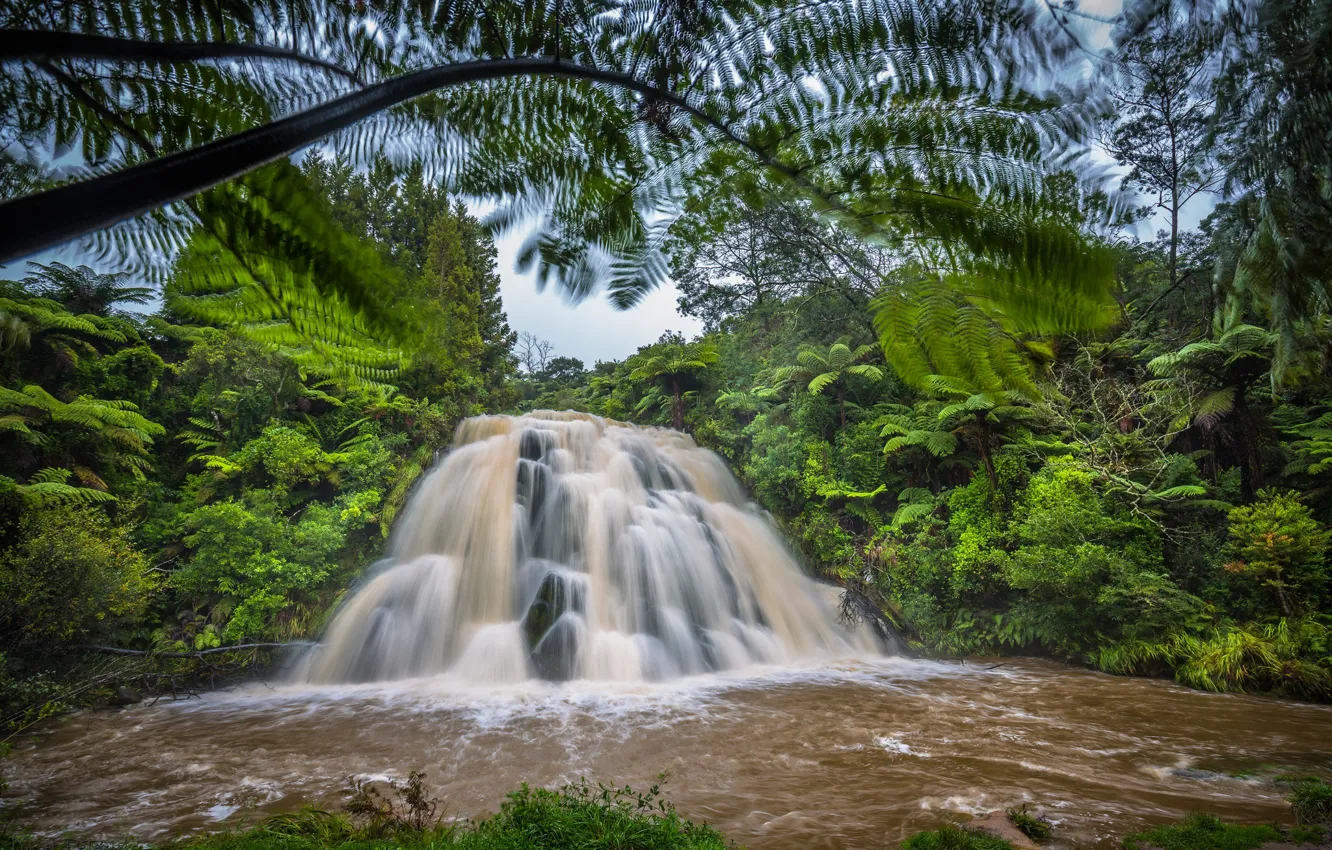 Photo wallpaper forest, river, waterfall, New Zealand, New Zealand, Owharoa Falls, Vicino, Waikino
