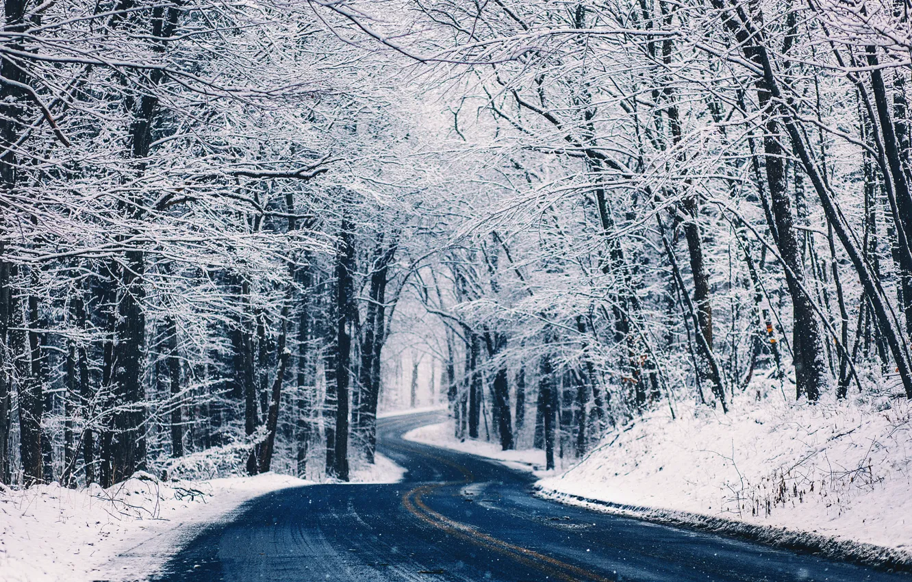 Photo wallpaper winter, road, forest, snow, trees, nature, landing