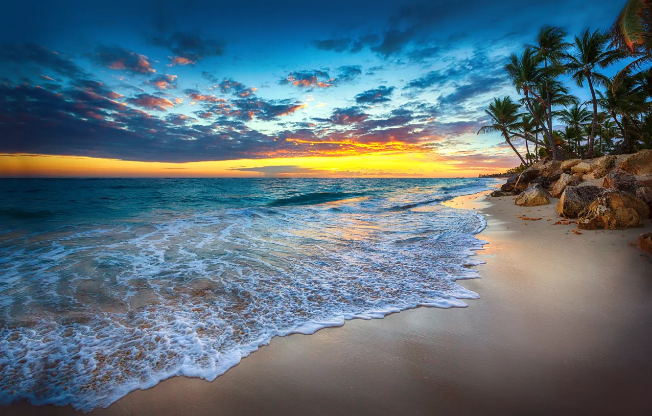 Photo wallpaper sea, wave, sunset, nature, tropics, palm trees, coast