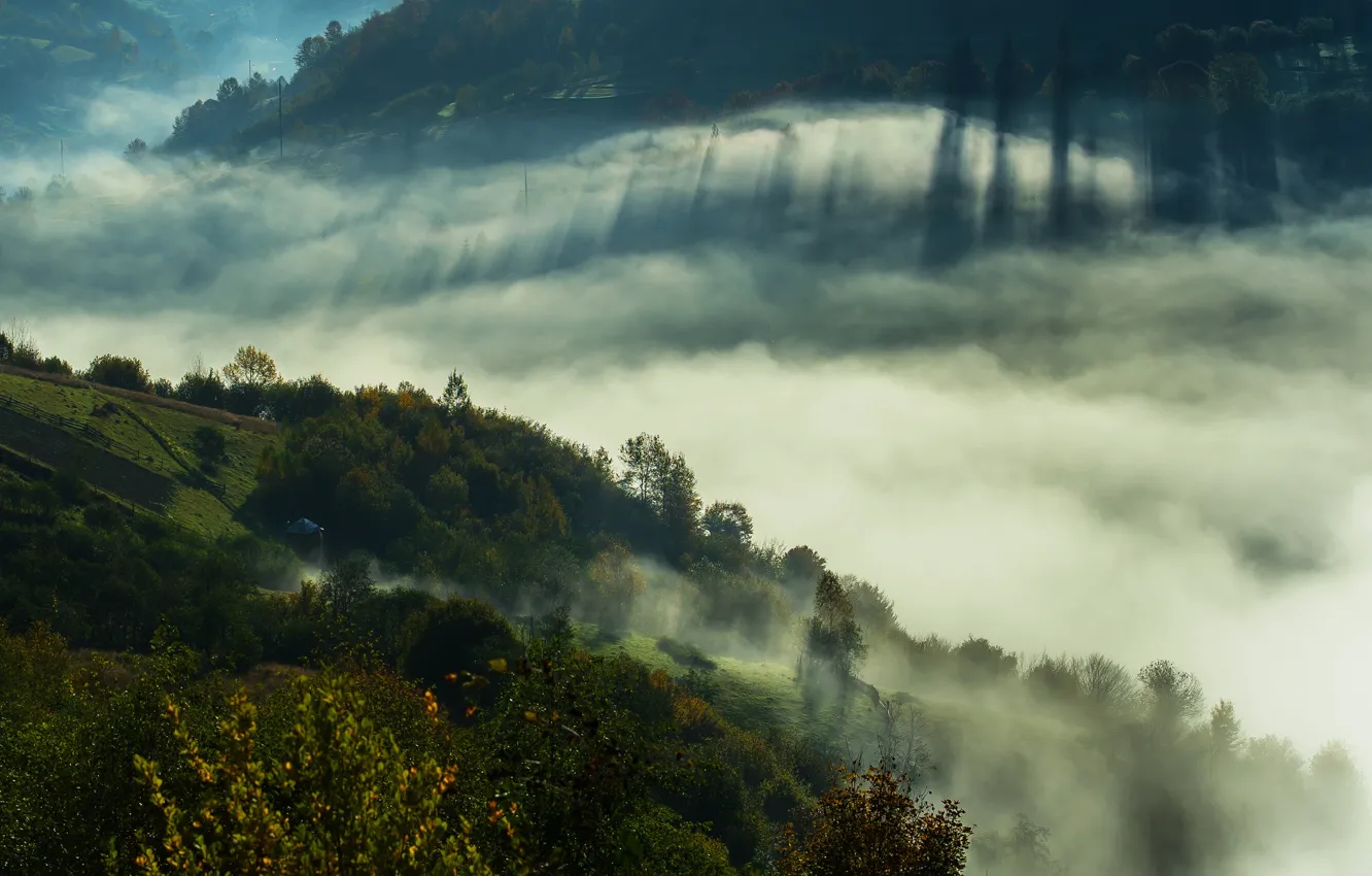 Photo wallpaper mountains, fog, Ukraine, Transcarpathia