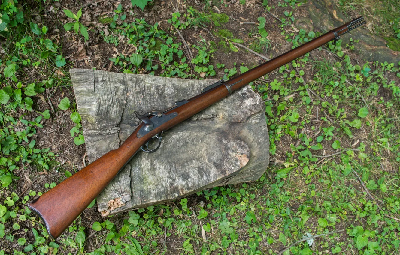 Photo wallpaper rifle, 1884, Trapdoor