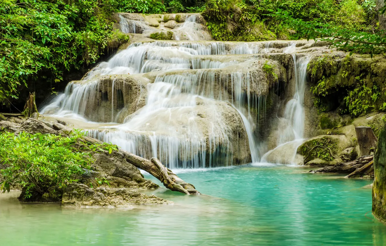 Photo wallpaper forest, river, waterfall, forest, river, landscape, jungle, beautiful
