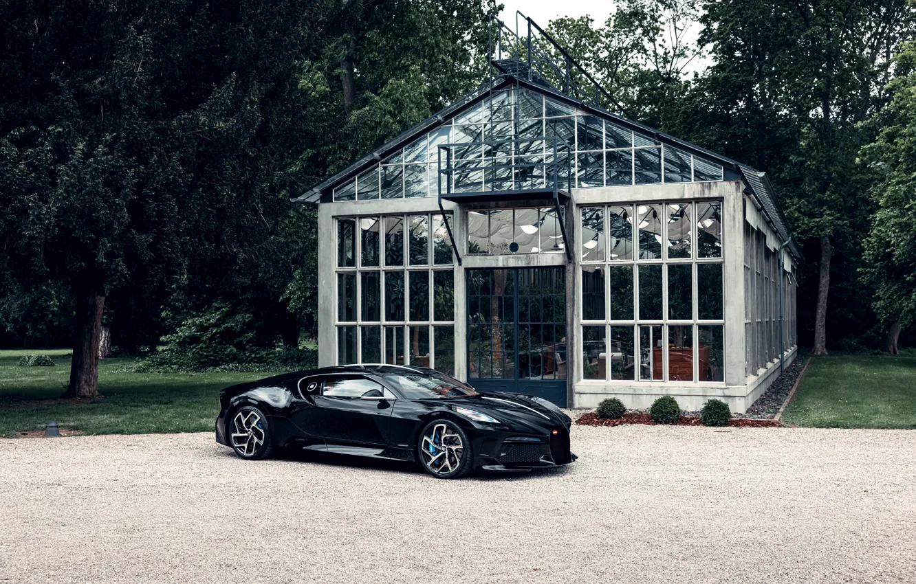 Photo wallpaper car, Bugatti, greenhouse, The Black Car, Bugatti The Black Car