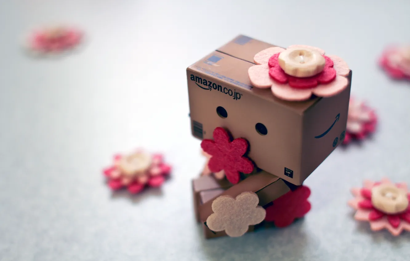 Photo wallpaper flowers, box, buttons, danbo, amazon