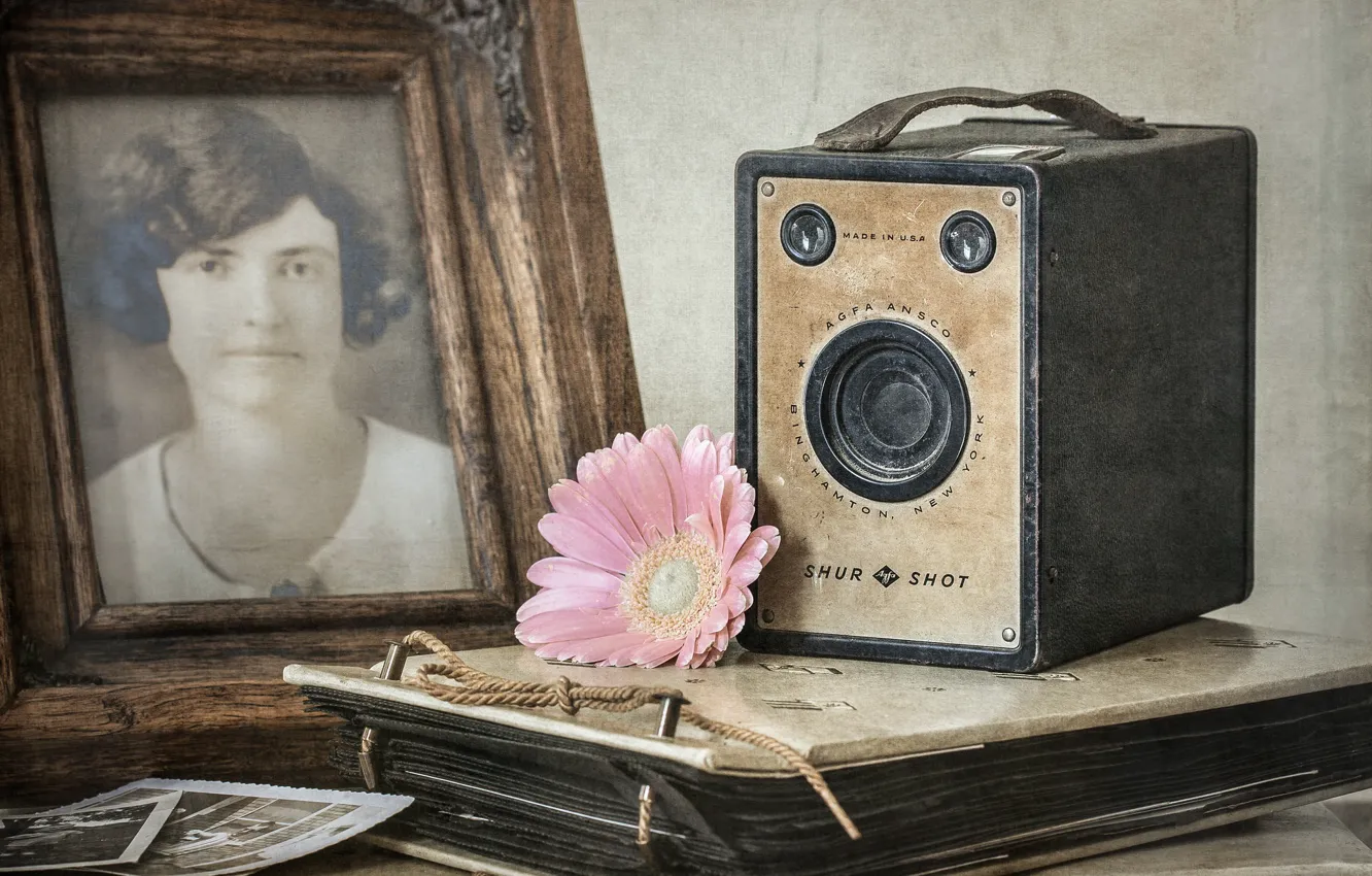 Photo wallpaper flowers, photo, camera