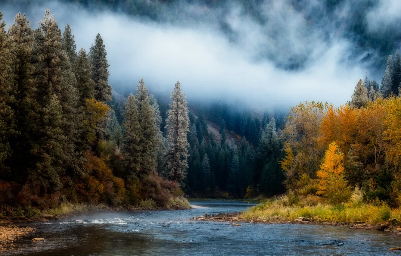 Photo wallpaper autumn, mountains, fog, river