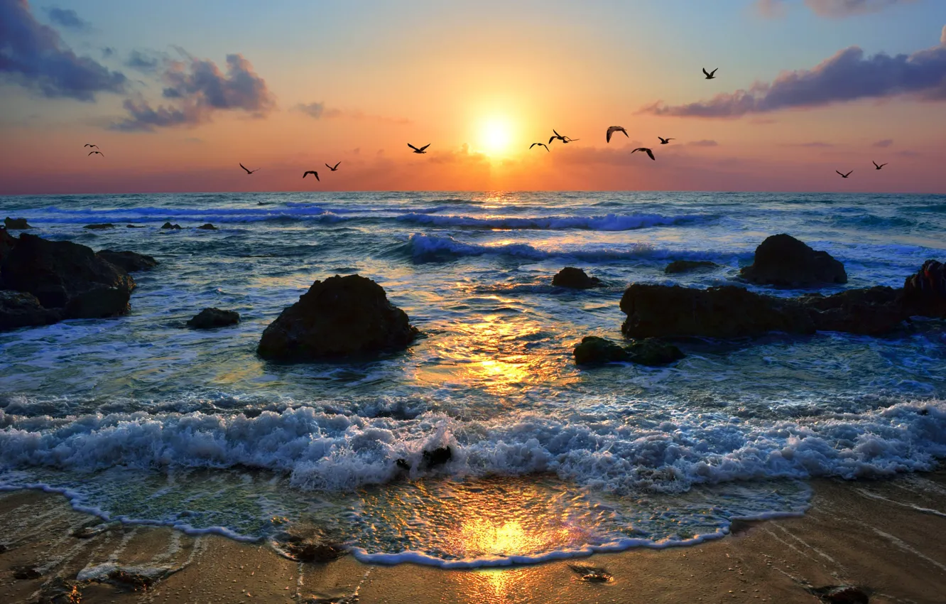 Photo wallpaper sea, the sky, sunset, birds, coast, Israel