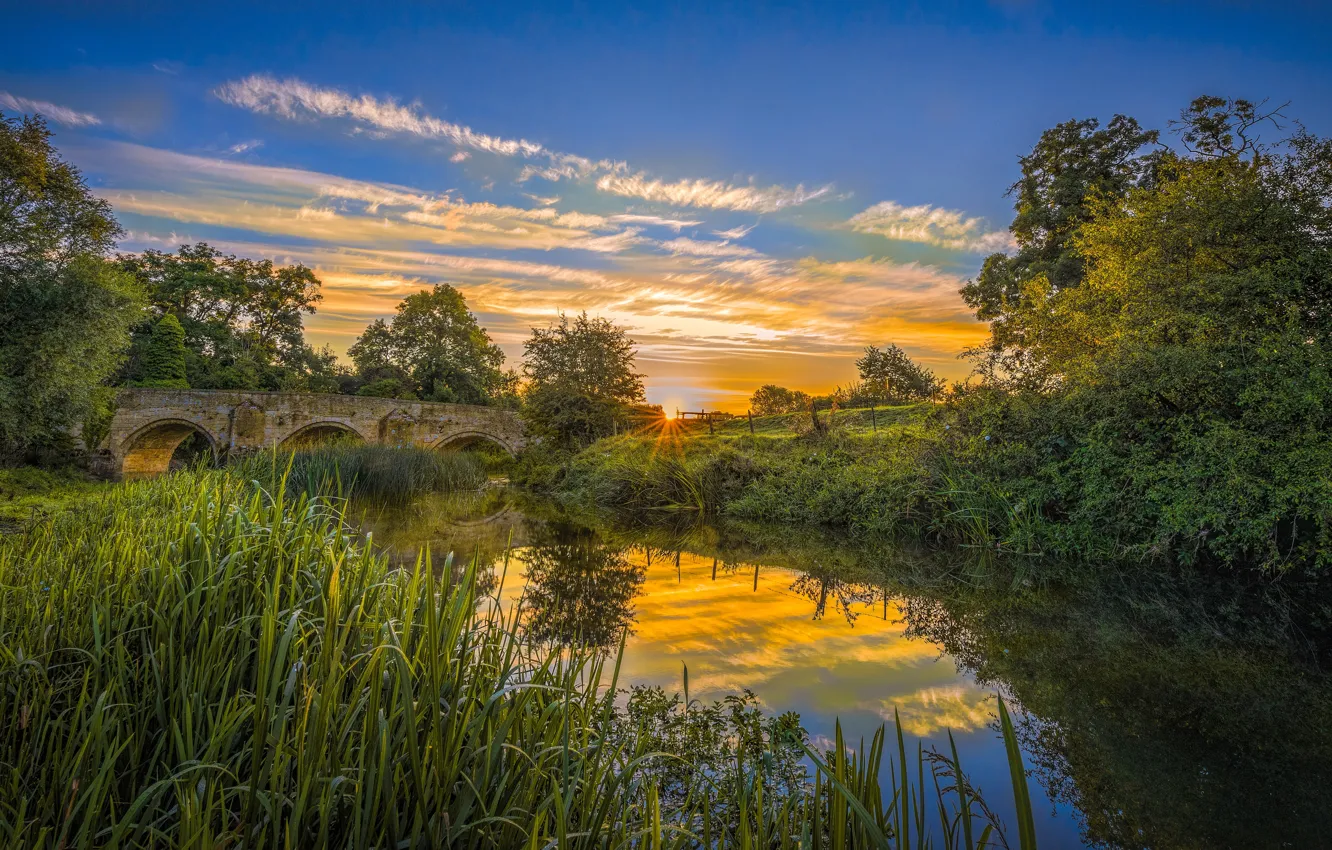 Photo wallpaper bridge, pond, shore, channel, - water