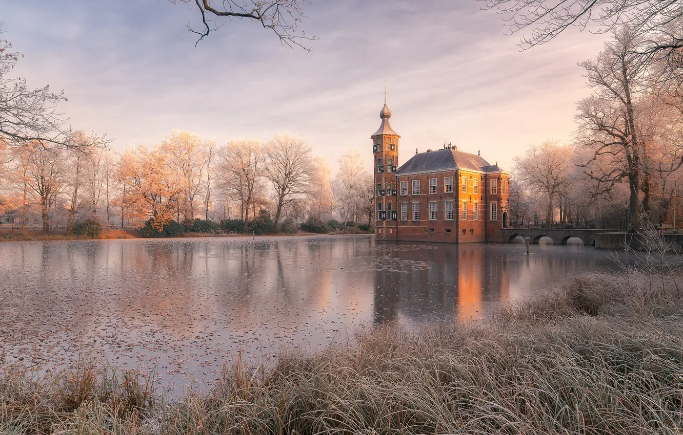 Photo wallpaper winter, frost, forest, grass, clouds, light, trees, branches