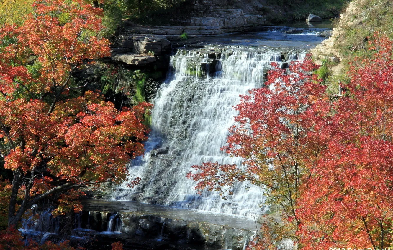 Photo wallpaper autumn, nature, river, waterfall