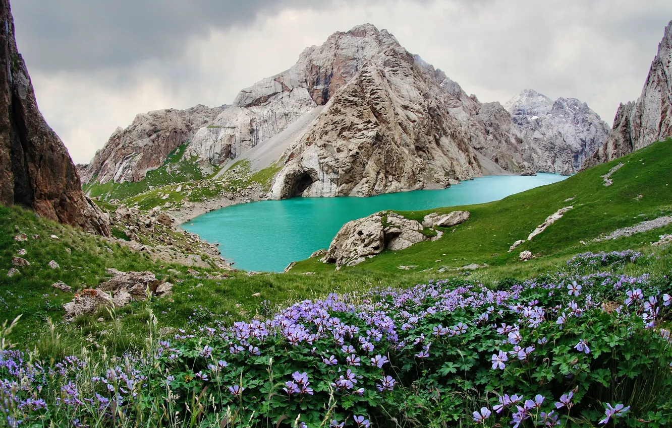 Photo wallpaper greens, grass, water, flowers, mountains, lake, blue