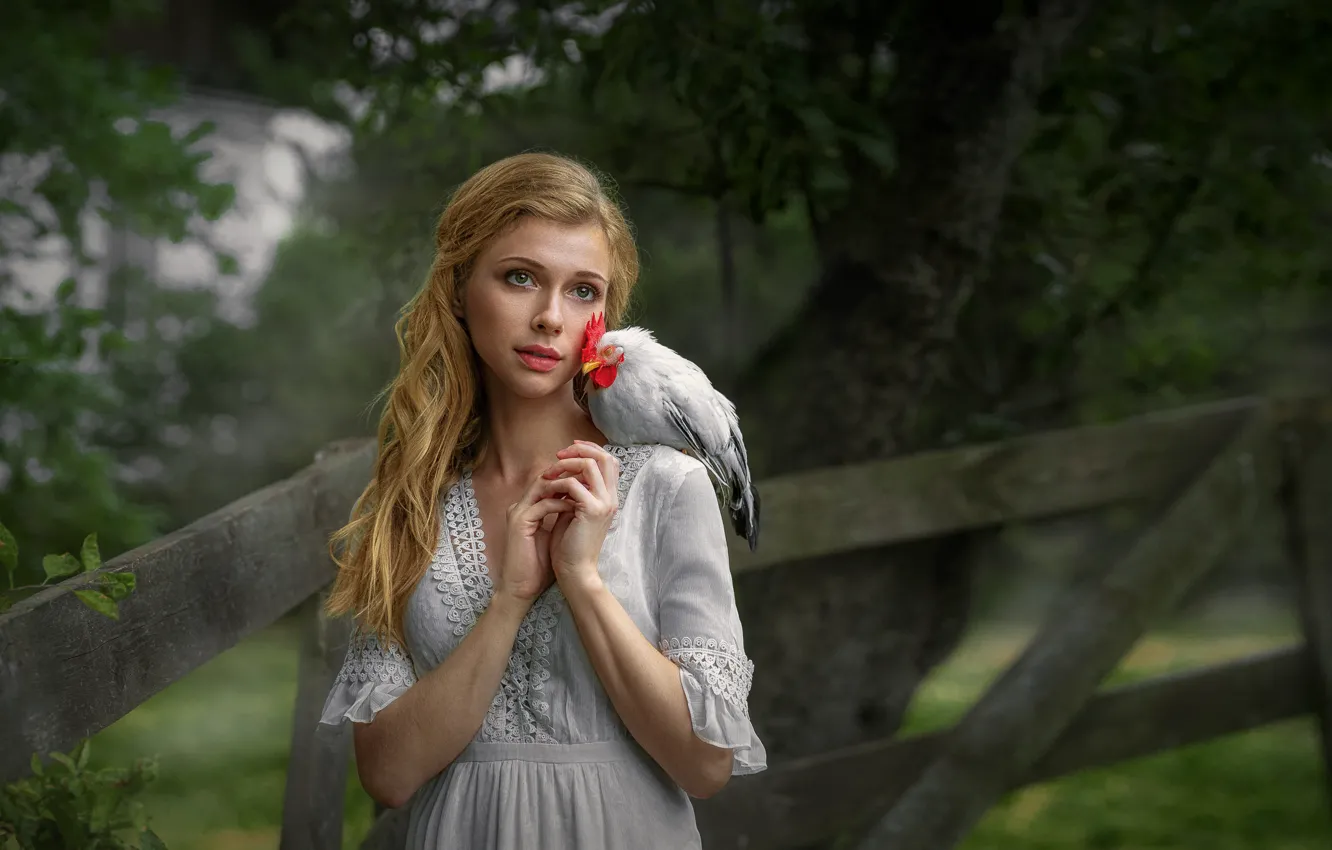 Photo wallpaper look, girl, nature, bird, dress, the fence, blonde, cock