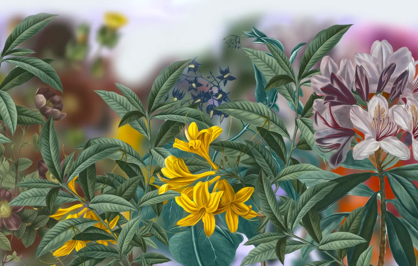 Photo wallpaper Graphics, Flowers, Leaves