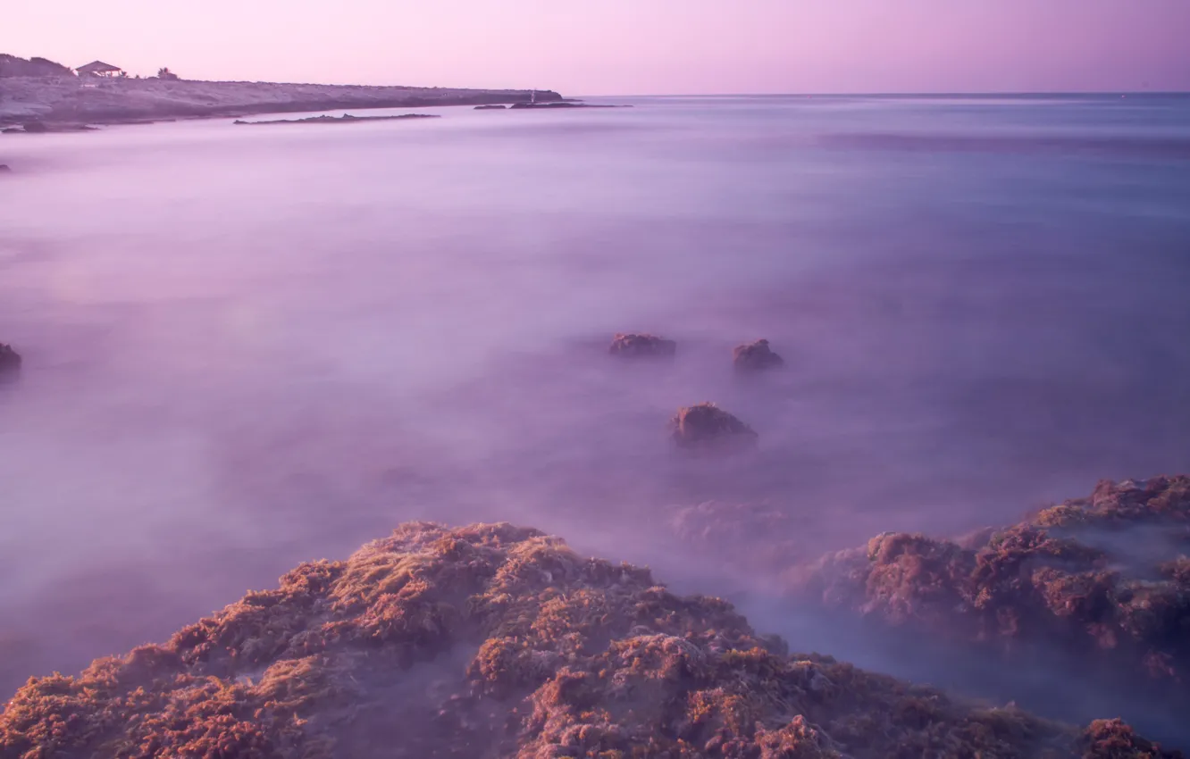 Photo wallpaper sea, algae, surface, stones, dawn, shore, morning, excerpt