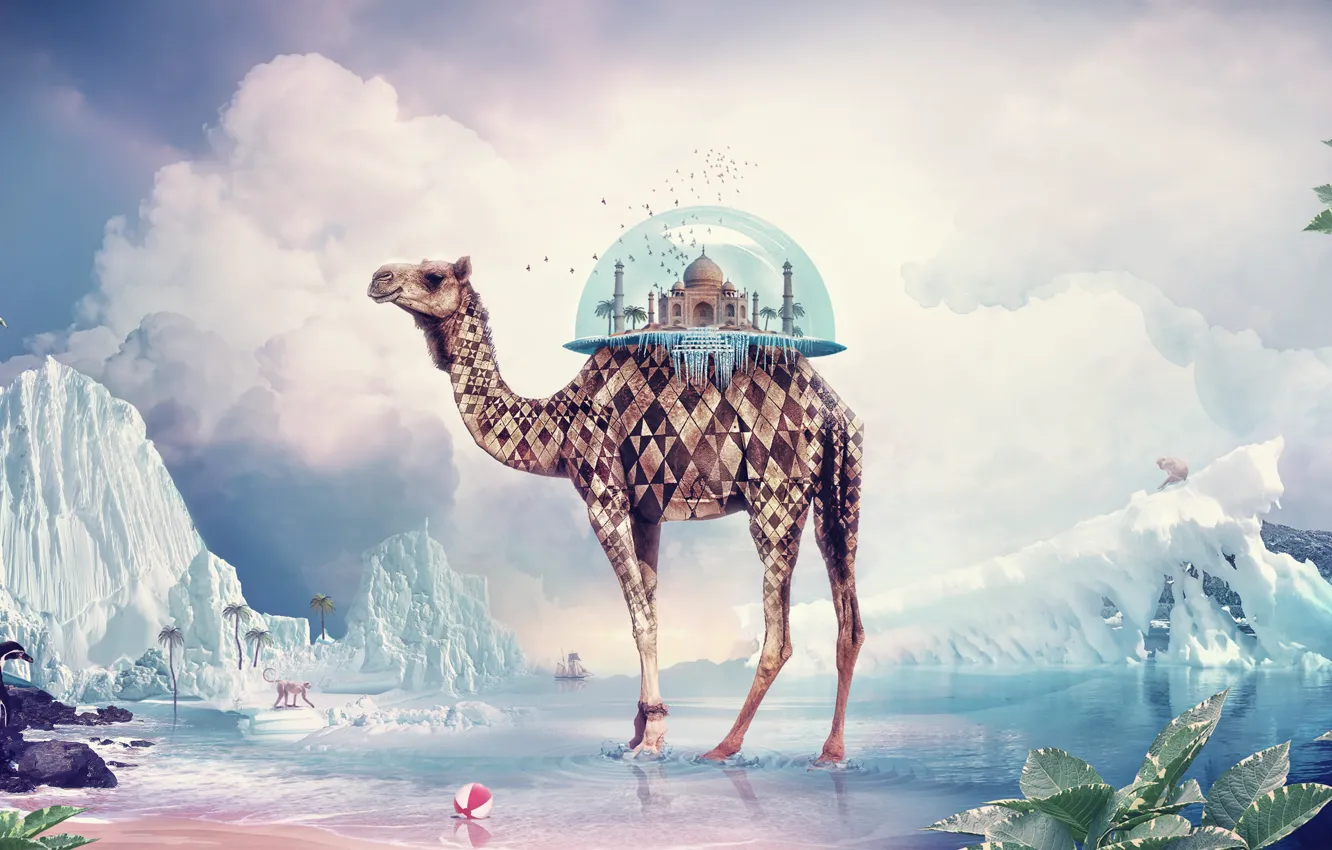 Photo wallpaper ice, sand, beach, the sky, water, clouds, clouds, palm trees