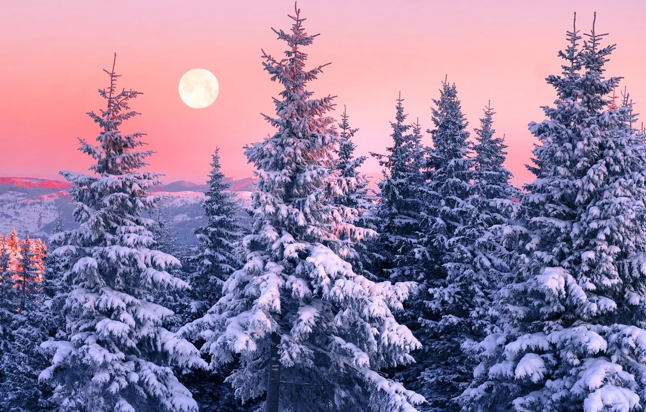 Photo wallpaper winter, forest, the sky, snow, trees, landscape, mountains, nature