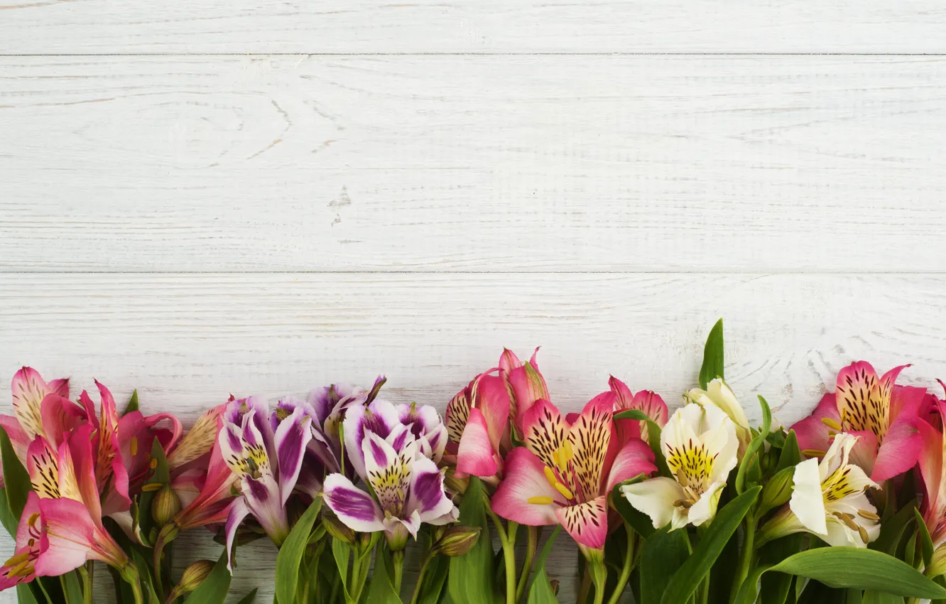 Photo wallpaper flowers, decor, Alstroemeria, THE OFF
