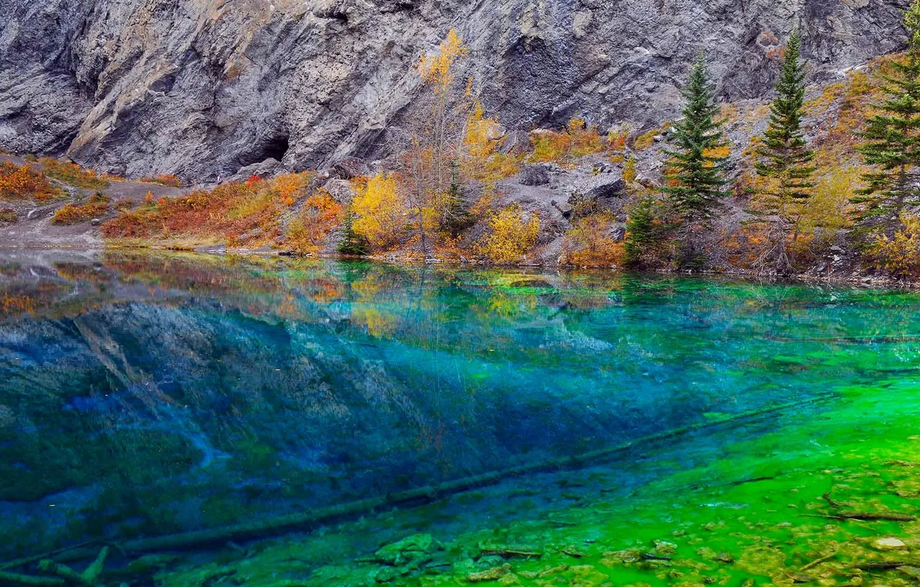 Photo wallpaper trees, algae, lake, rocks, Canada, Albert, Grassi Lake, Kenmore