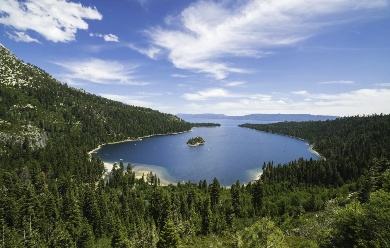 Photo wallpaper sea, bay, forrest