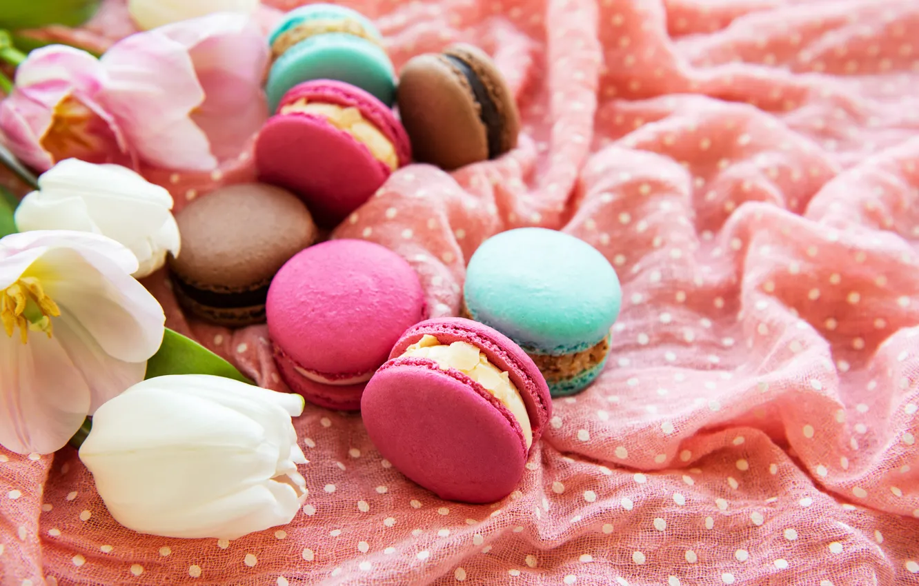 Photo wallpaper colorful, tulips, pink, tulips, macaroons, macaron, macaroon