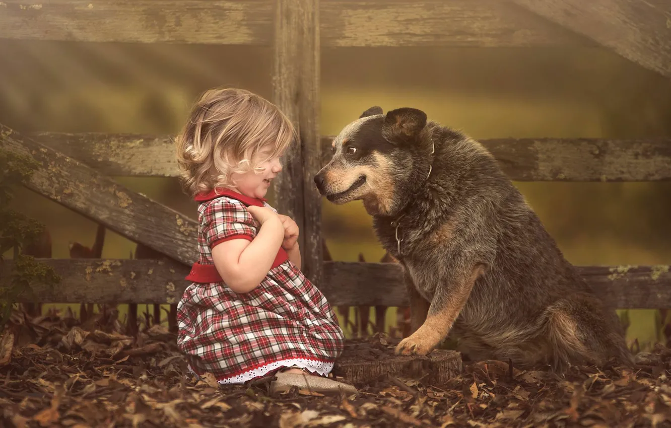 Photo wallpaper foliage, the fence, surprise, dog, girl, friends, baby