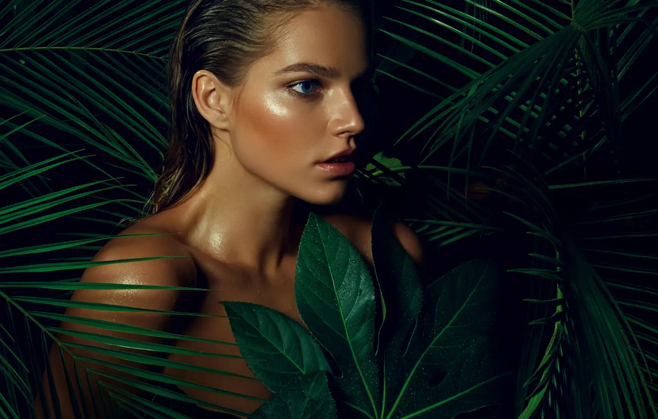 Photo wallpaper look, girl, face, tropics, model