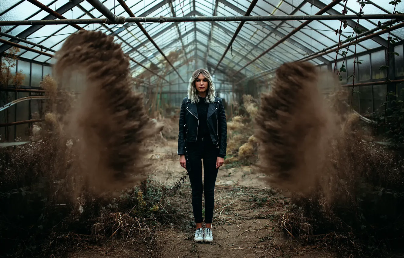 Photo wallpaper girl, greenhouse, dust