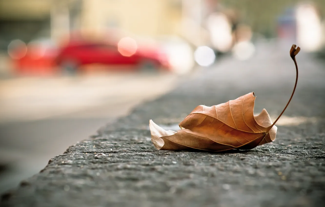 Photo wallpaper leaves, the city, street, fallen, autumn