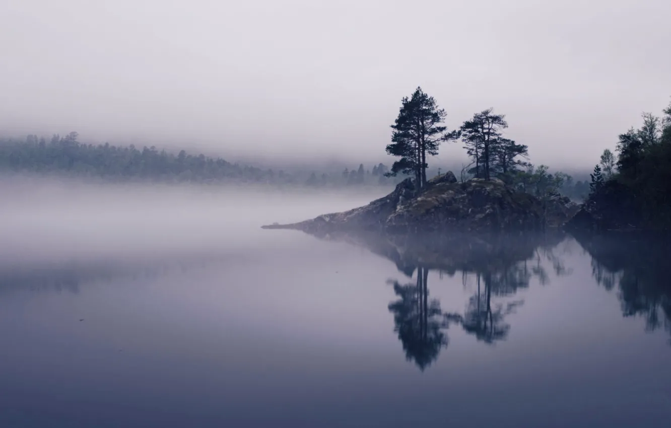 Photo wallpaper trees, fog, lake, Norway, Innerdalshytta