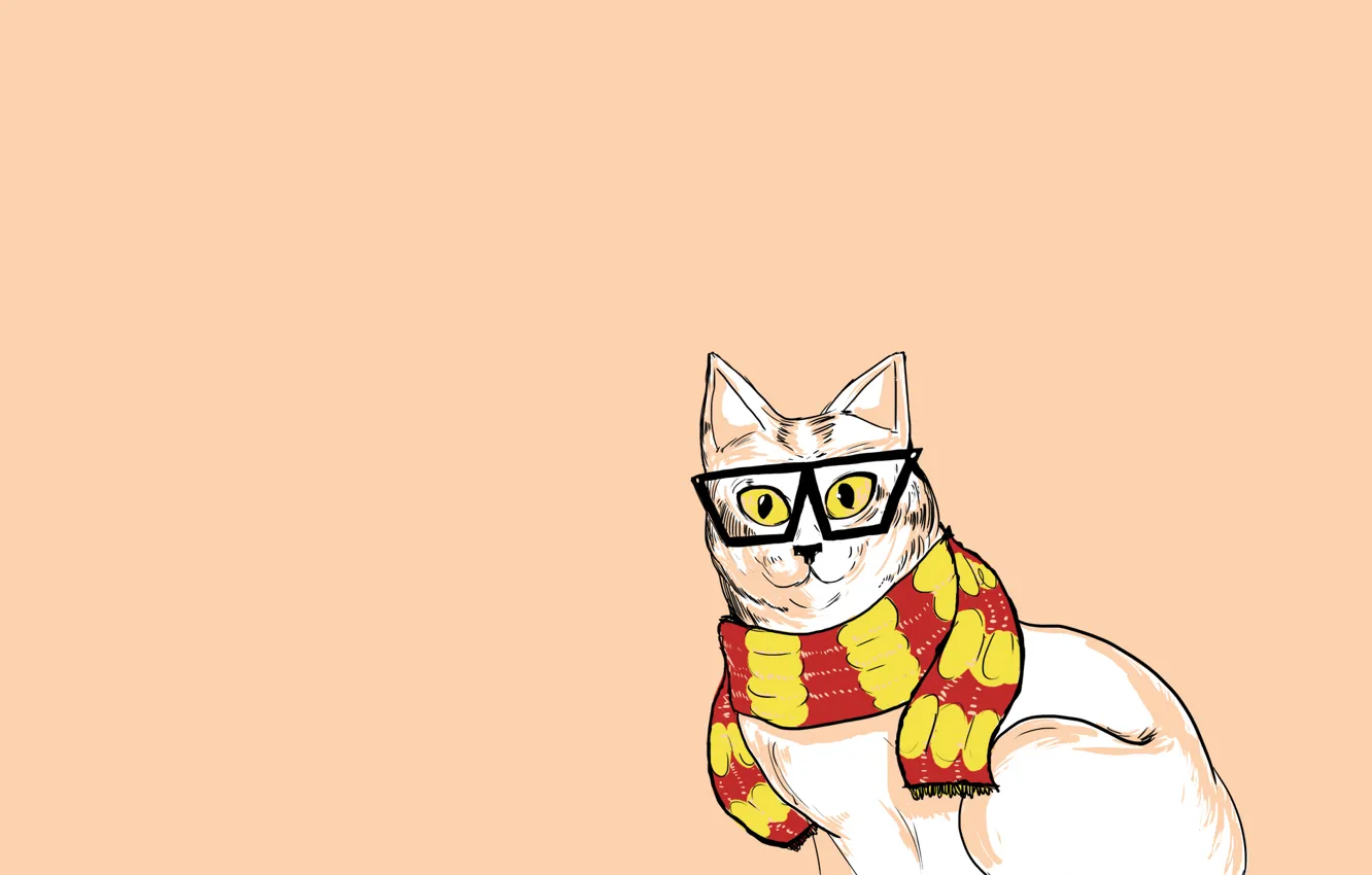 Photo wallpaper cat, cat, minimalism, scarf, glasses, hipster