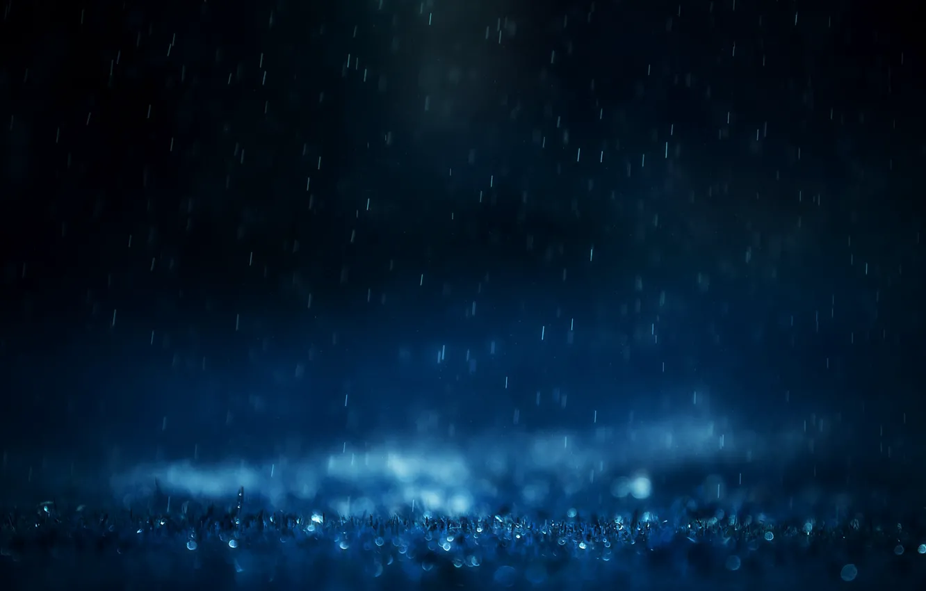 Photo wallpaper grass, water, drops, macro, squirt, rain, mood, mood