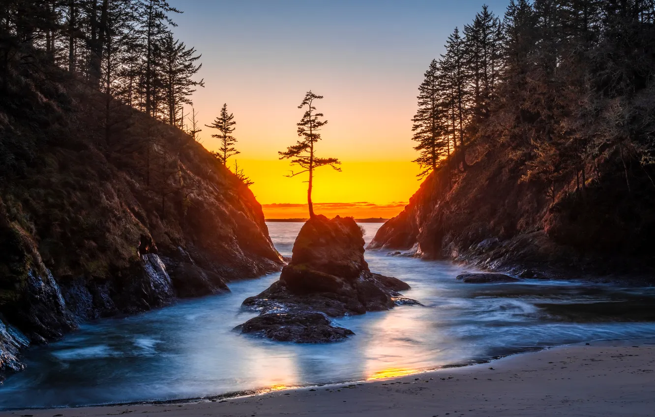 Photo wallpaper sea, trees, sunset, rocks