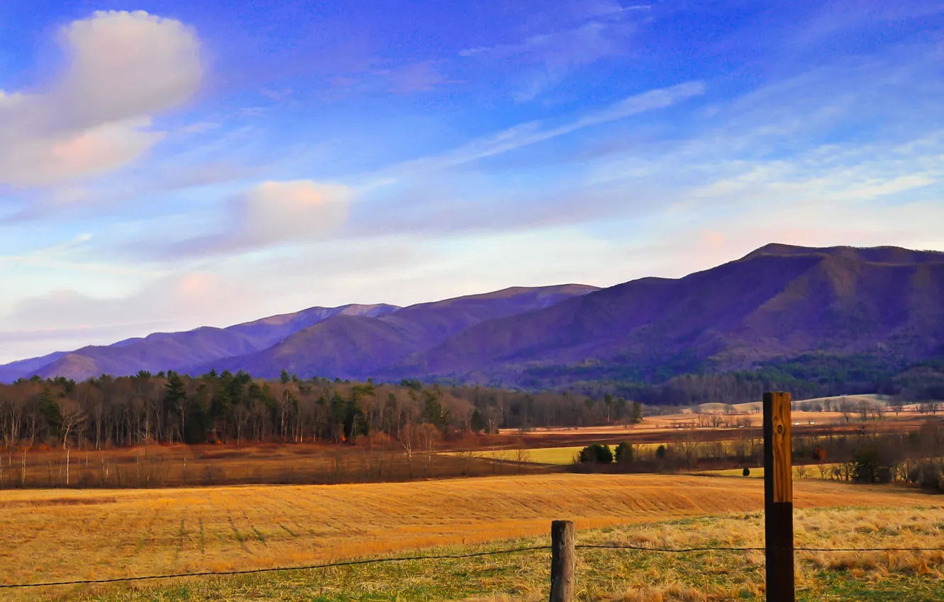Photo wallpaper field, the sky, clouds, trees, mountains