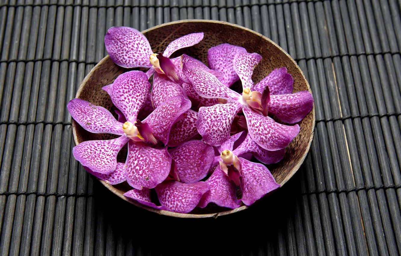 Photo wallpaper flowers, bowl, orchids