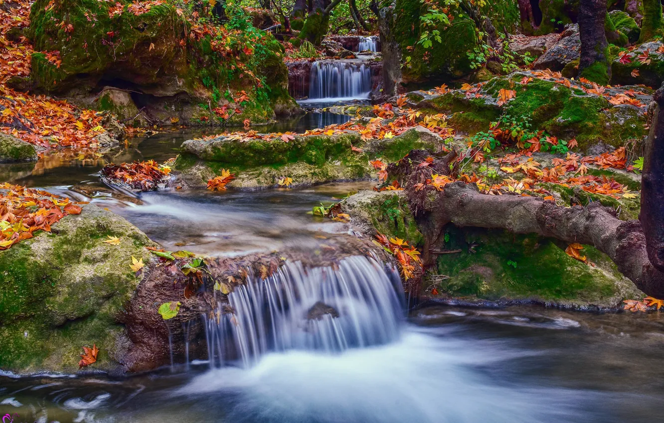Photo wallpaper autumn, foliage, waterfall