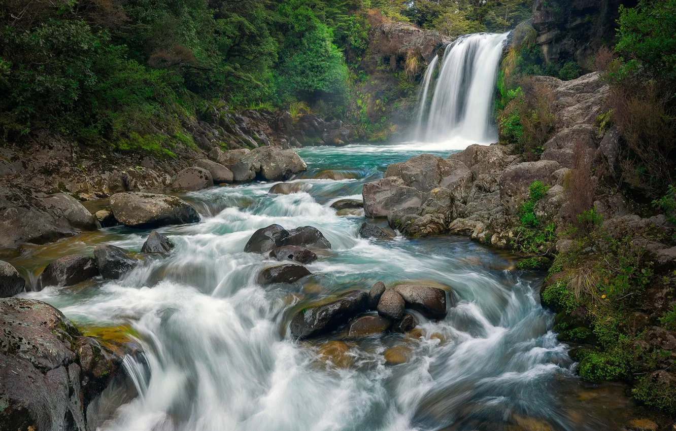 Photo wallpaper forest, stream, stones, shore, for, foliage, waterfall, stream