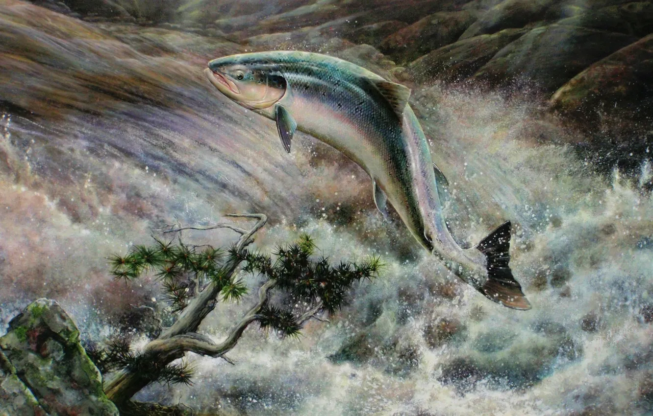 Photo wallpaper squirt, branches, river, stones, waterfall, fish, picture, art