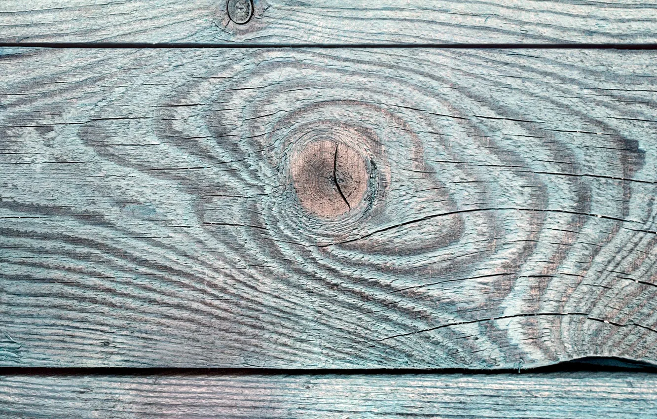 Photo wallpaper trees, paint, old, texture