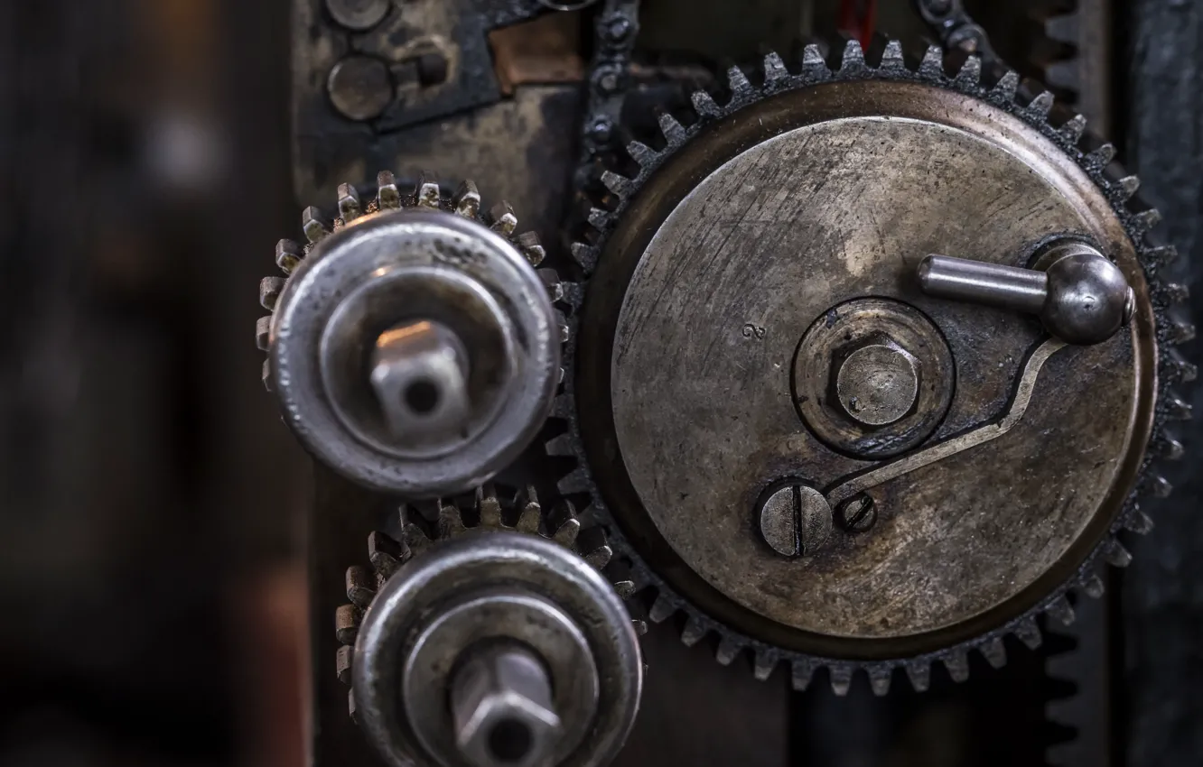 Photo wallpaper macro, background, mechanism