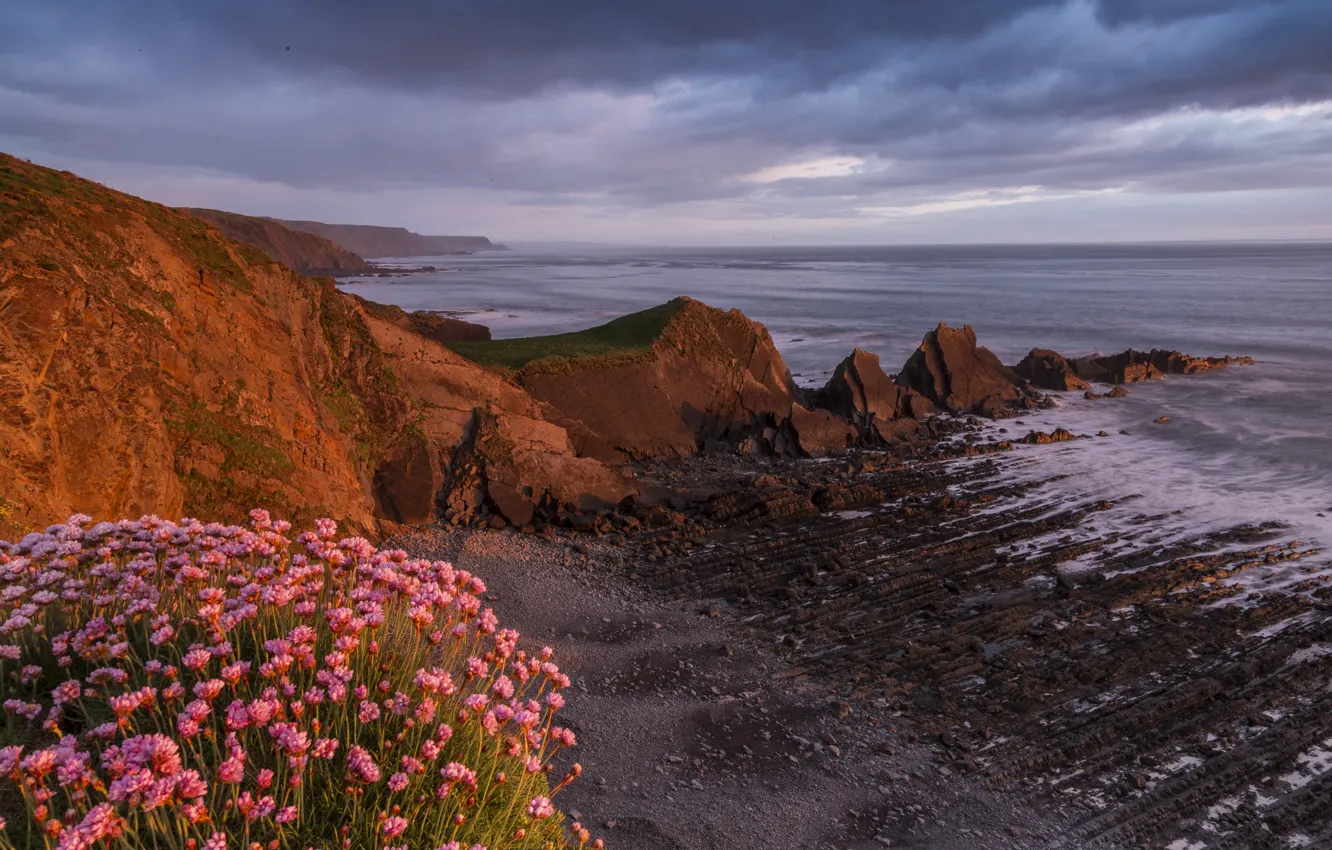 Photo wallpaper the sky, flowers, nature, shore