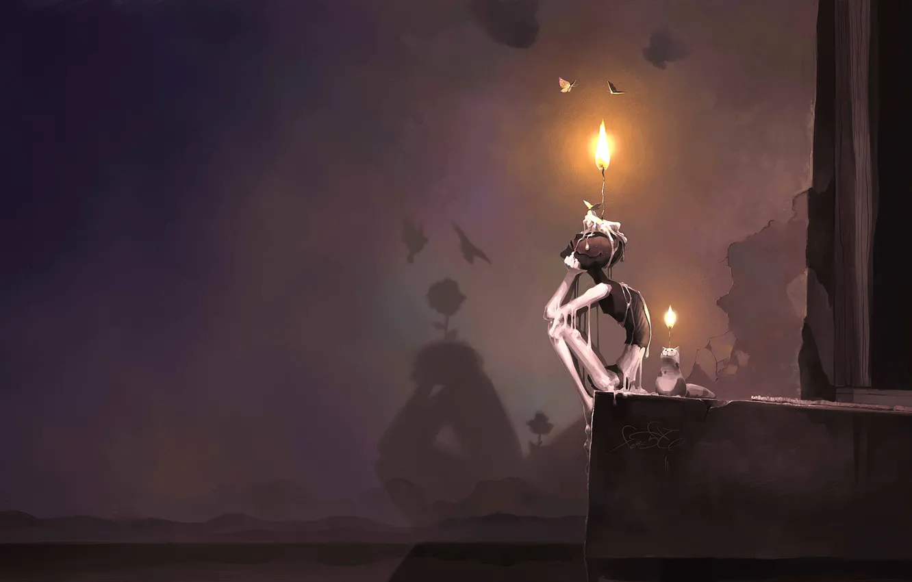 Photo wallpaper cat, surface, flowers, lights, cracked, wall, bird, butterfly