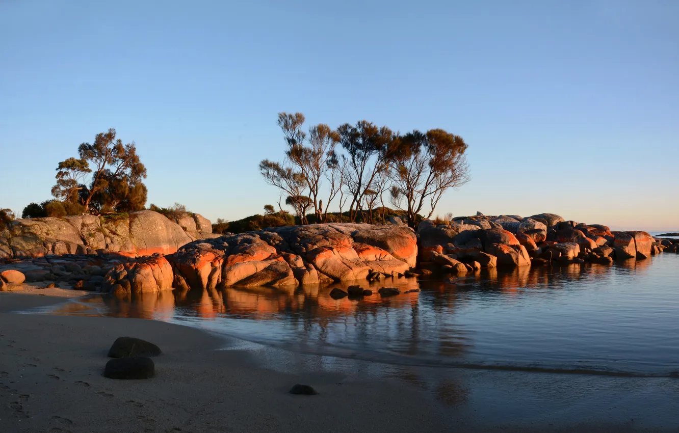 Photo wallpaper sea, the sky, trees, sunset, stones, rocks