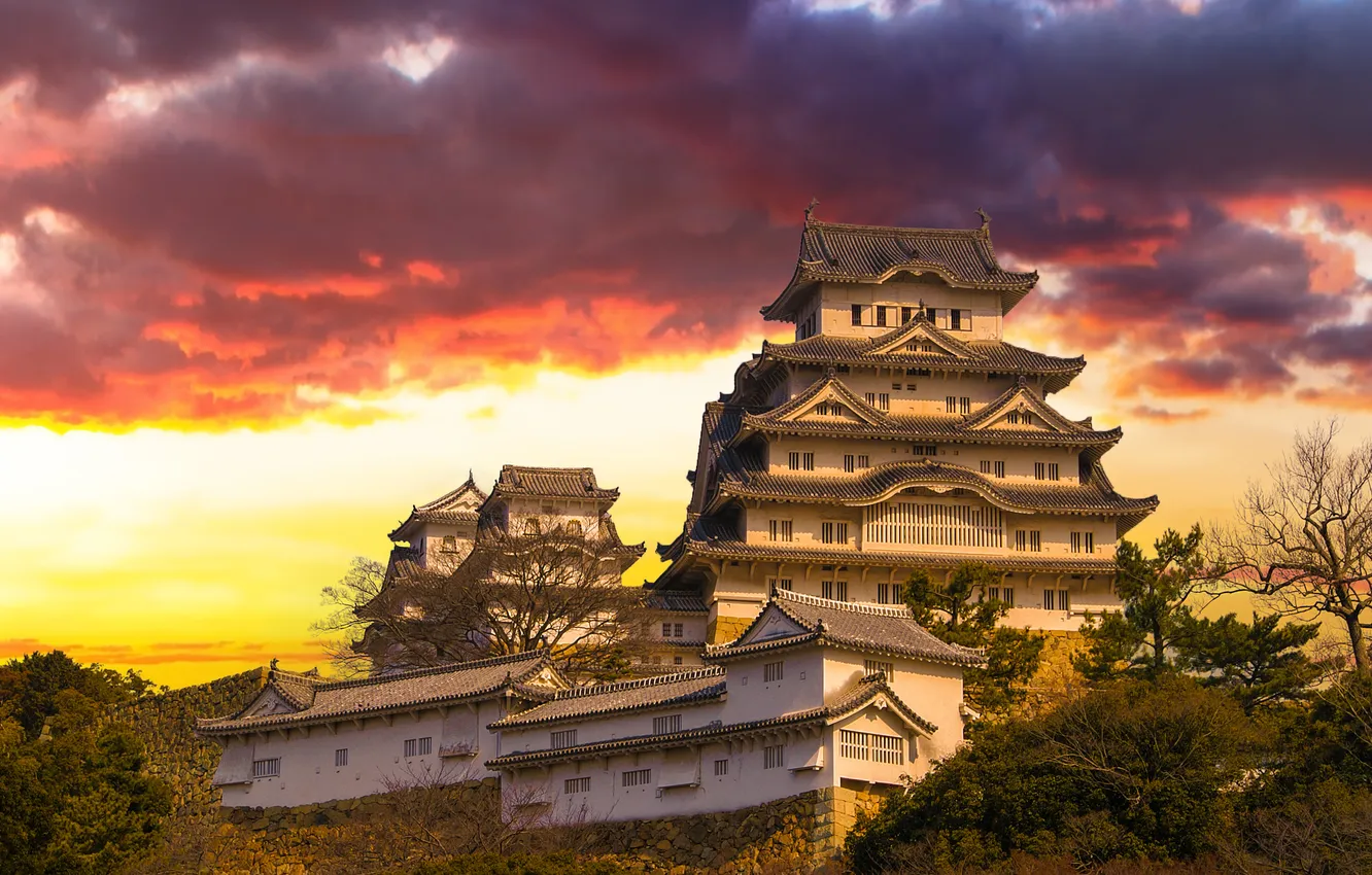 Photo wallpaper trees, clouds, the city, Japan